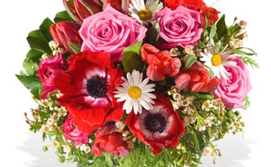 Abus beschert schönen Valentinstag