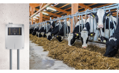 Brandschutz in Tierställen: Frühwarnsystem mit mehreren Alarmstufen