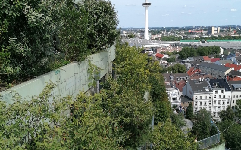 Seitenansicht einer bepflanzten, gestuften Fassade mit Fernsehturm im Hintergrund